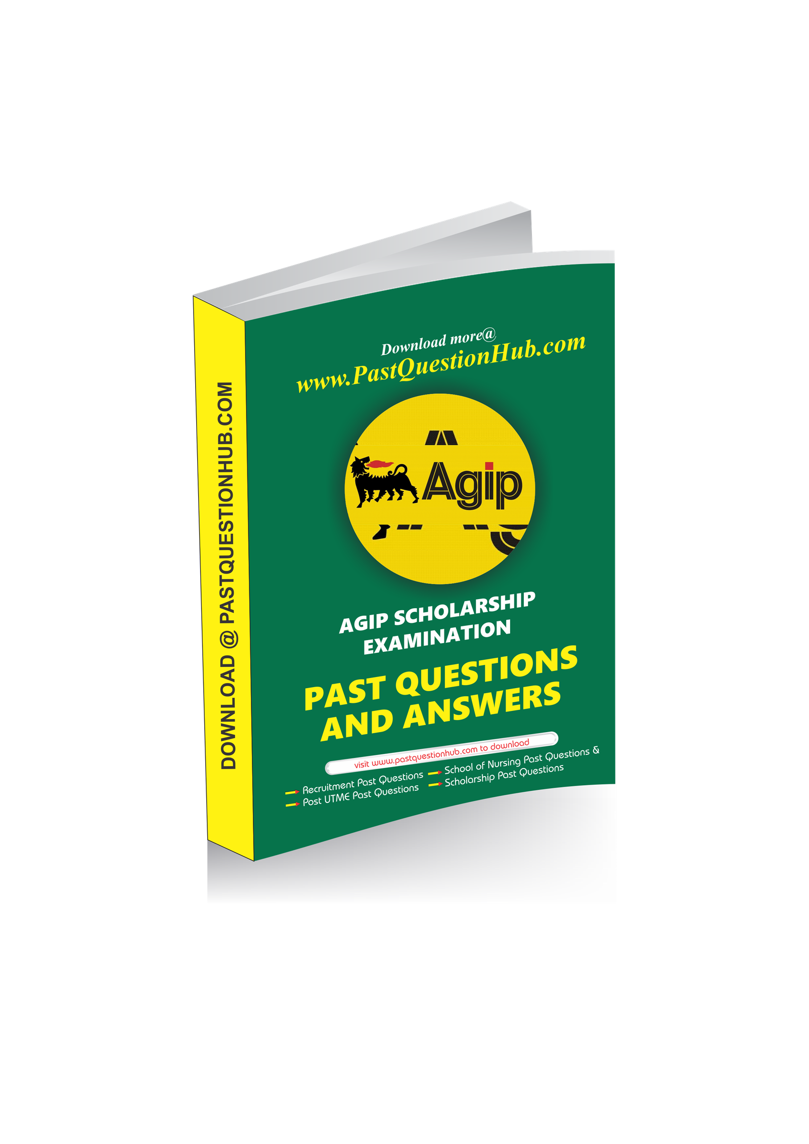 AGIP Scholarship Past Questions