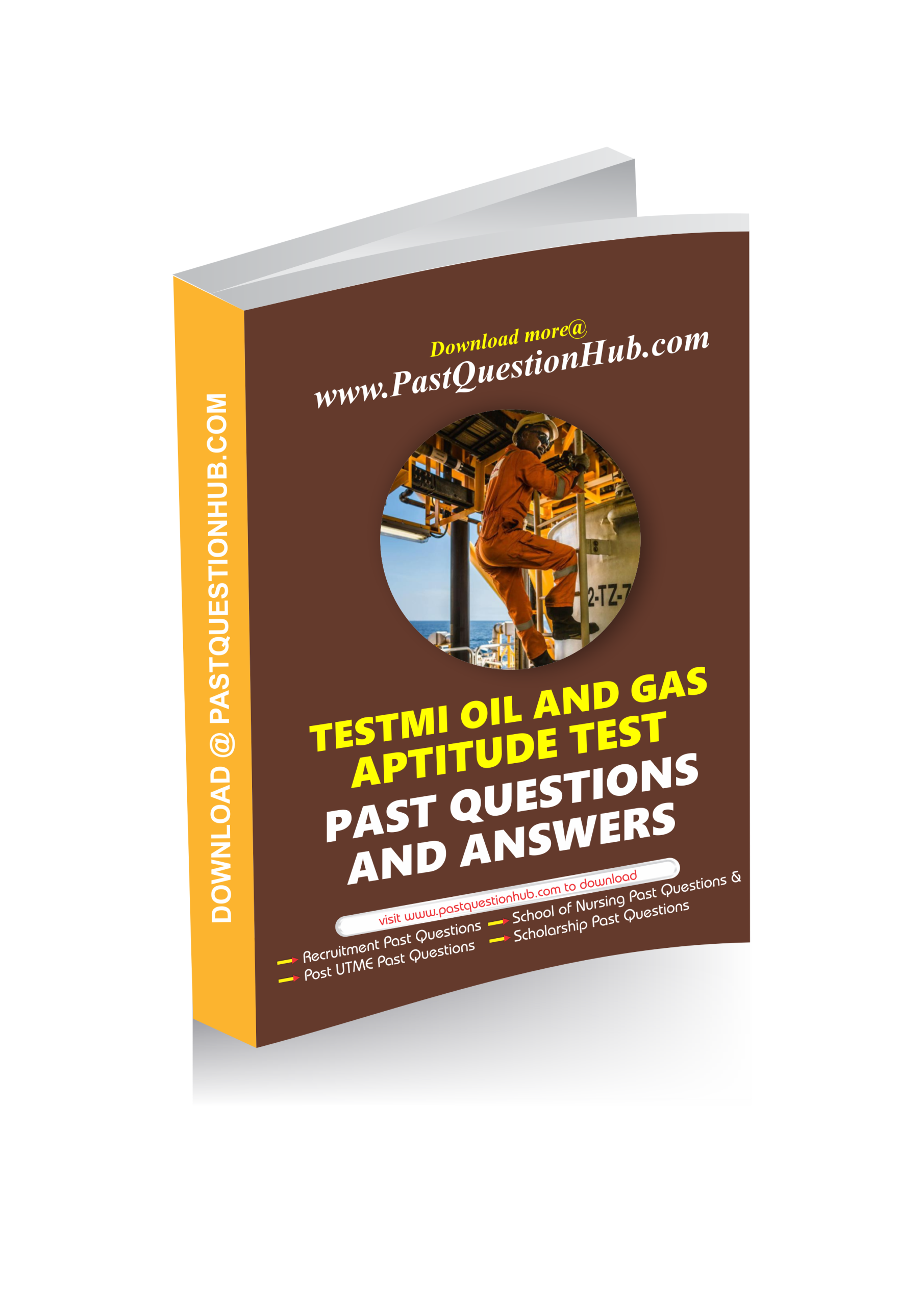 TestMi Oil and Gas Past Questions and Answers 2025 PDF Download